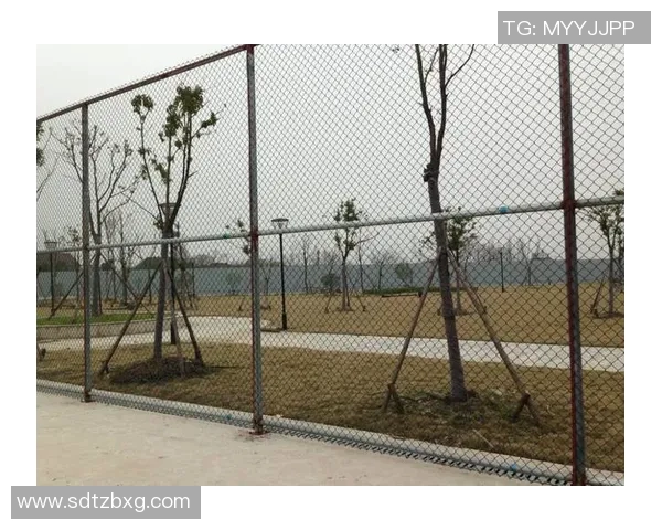 实时新闻探秘北京网球队的战术布局与包夹策略深度解析